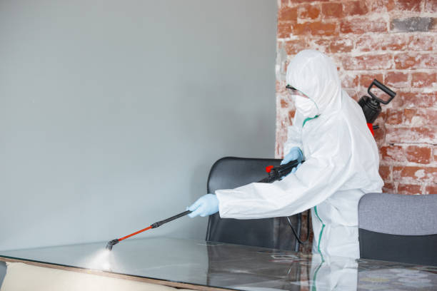 Best Forensic Mold Investigation  in Spirit Lake, IA