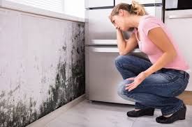 Best Residential Mold Inspection & Testing  in Spirit Lake, IA